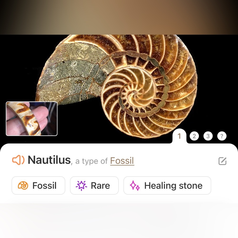 Vintage solid brass rare nautilus fossil bangle bracelet NWT - Picture 9 of 9